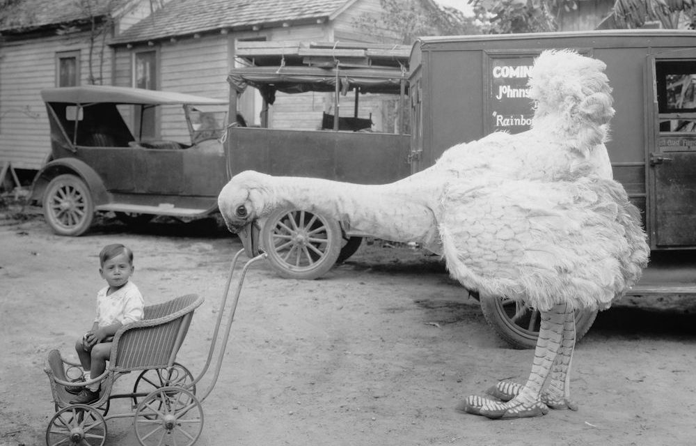 <span class="entry-title-primary">A Fidesz-lap szerint Hajnal „túltolta a biciklit”</span> <span class="entry-subtitle">Lehull a nemzeti alárendeltség maszkja</span>