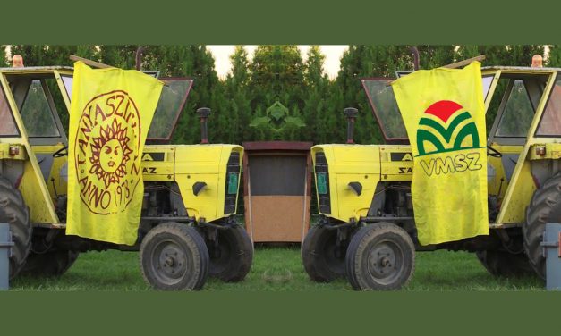 Parkinson törvénye