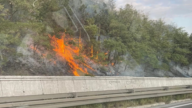 Lángra kapott az aljnövényzet a Belgrád-Niš autópálya mentén (Fotók)