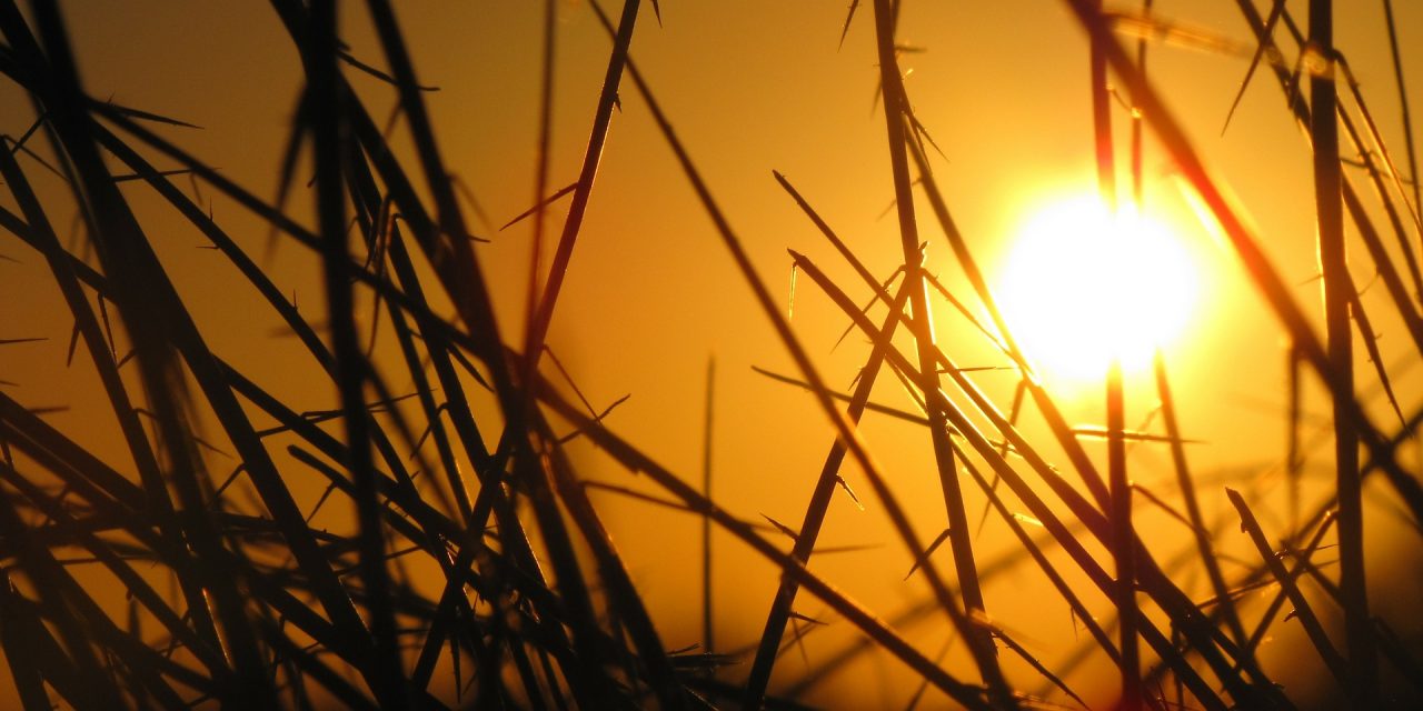 Az idei volt a második legmelegebb szeptember a világban