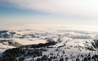 A Kopaonikon hagyott négy kiskorút egy belgrádi utazási iroda