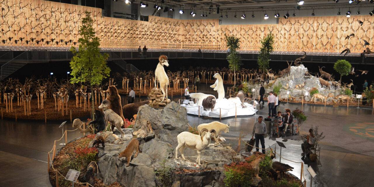 <span class="entry-title-primary">Csodaszarvasok és trófeák minden mennyiségben</span> <span class="entry-subtitle">Megnyílt a Vadászati és Természeti Világkiállítás – Budapesti munkatársunk fotóriportja</span>