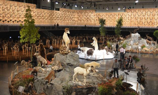 <span class="entry-title-primary">Csodaszarvasok és trófeák minden mennyiségben</span> <span class="entry-subtitle">Megnyílt a Vadászati és Természeti Világkiállítás – Budapesti munkatársunk fotóriportja</span>