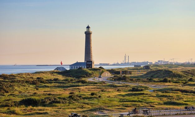 Dánia Boszniából „importált” politikusokat