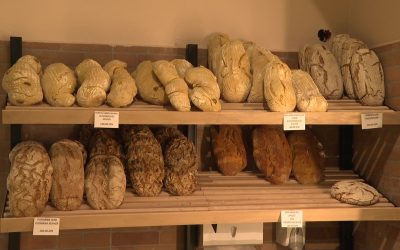 A vásárlók szerint drága, a pékek szerint olcsó a pékáru