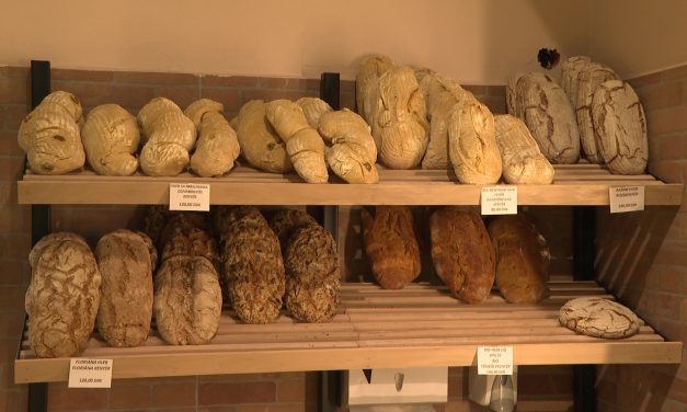 A vásárlók szerint drága, a pékek szerint olcsó a pékáru