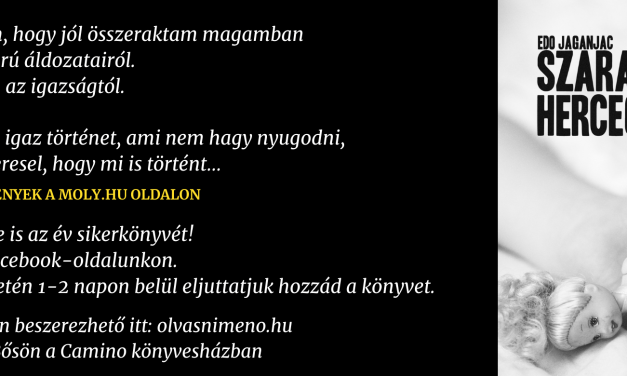 Egy bosnyák történet magyar bemutatója Szarajevóban