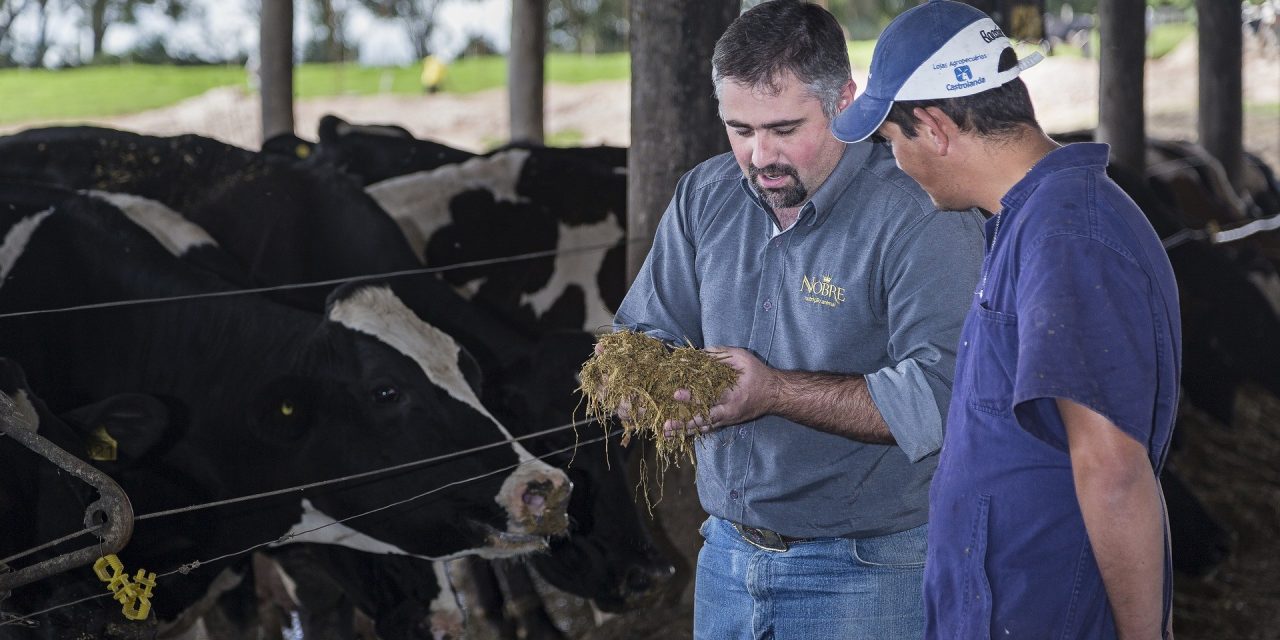 Áprilisban kapják meg a támogatást az állattenyésztők