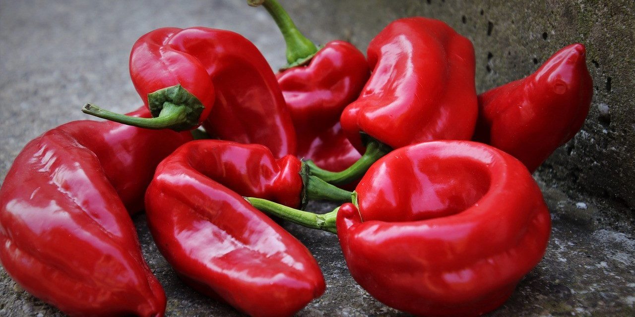 Ezer dinárba is kerülhet egy üveg ajvár