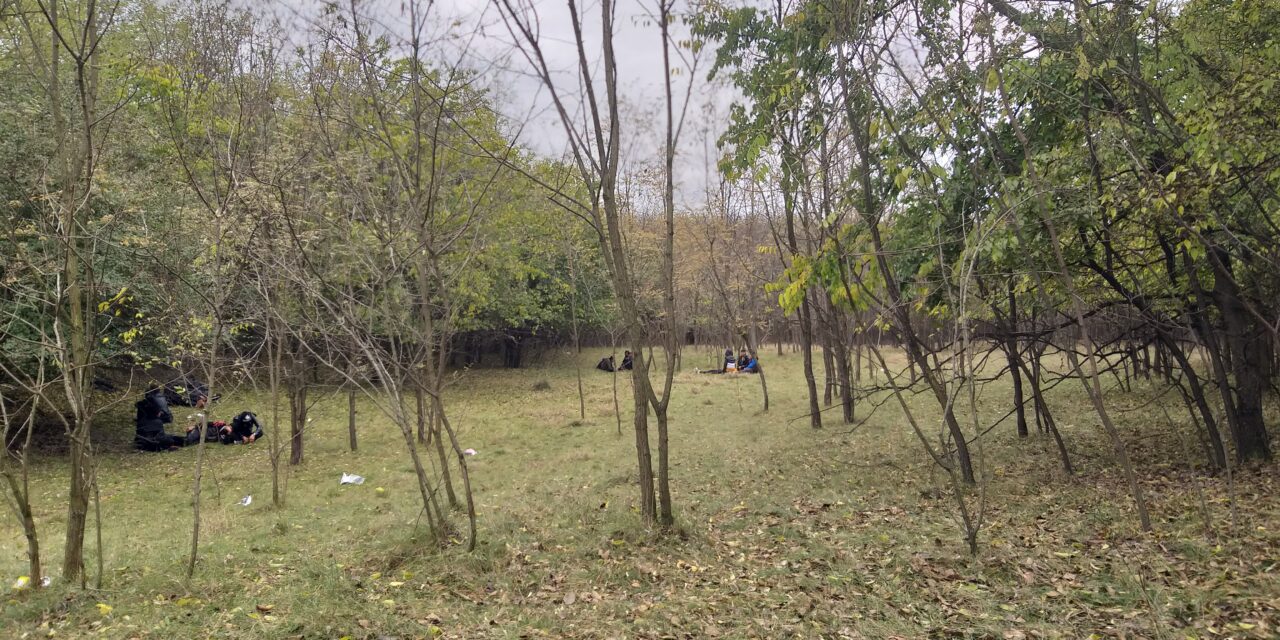 <span class="entry-title-primary">Zombori taxisok hordják Nagyradanovácra a migránsokat</span> <span class="entry-subtitle">A Szabadka és Palics közötti helyi közösségben már tarthatatlan a helyzet</span>