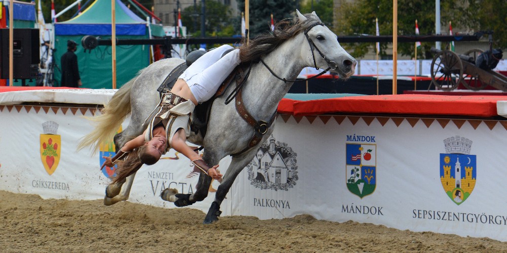 <span class="entry-title-primary">Szombaton rajtol a Nemzeti Vágta</span> <span class="entry-subtitle">Az átlagosnál több vajdasági versenyző lép pályára idén is</span>