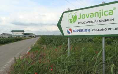 Nyugdíjba megy a bíró, újratárgyalják a Jovanjica-ügyet
