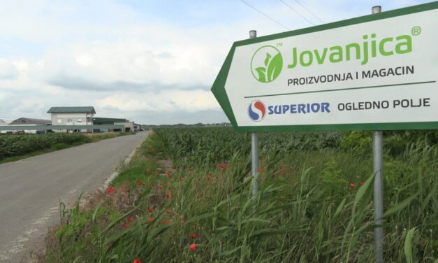 Nyugdíjba megy a bíró, újratárgyalják a Jovanjica-ügyet