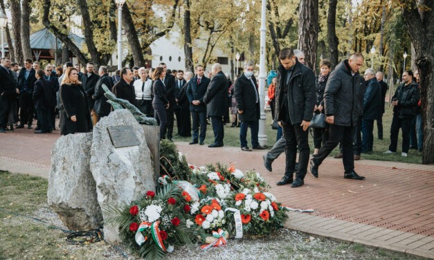Magyar Mozgalom: Elutasítjuk a kirekesztést és a VMSZ hazugságpolitikáját