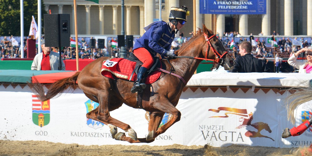 <span class="entry-title-primary">Szabó Nikolett és Nagy Arnold az esti döntőben</span> <span class="entry-subtitle">Tovább parádéznak a vajdasági versenyzők a Nemzeti Vágtán</span>