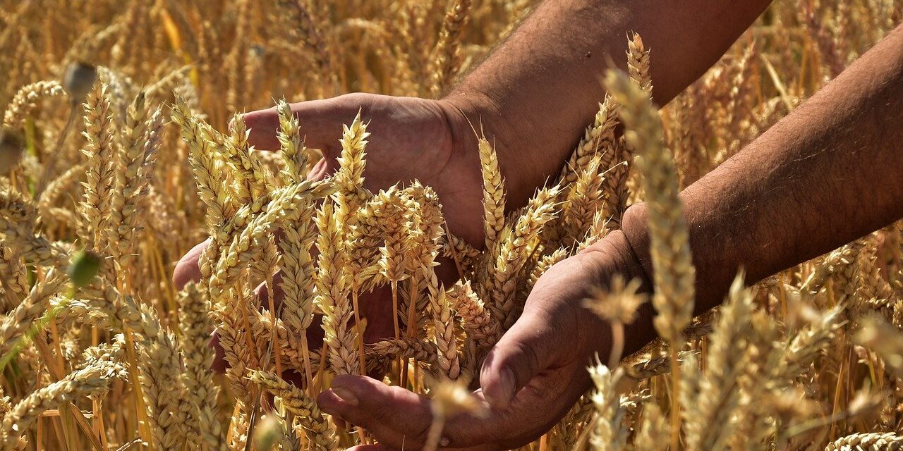 Évtizedes csúcson az élelmiszerárak