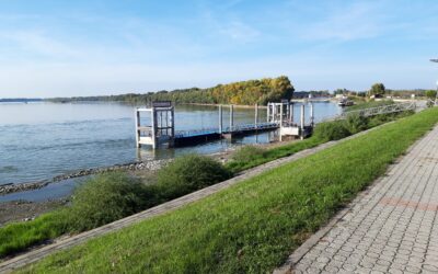 A határértékeket ezerszeresen is meghaladó rákkeltő anyagokat találtak a Duna-parton