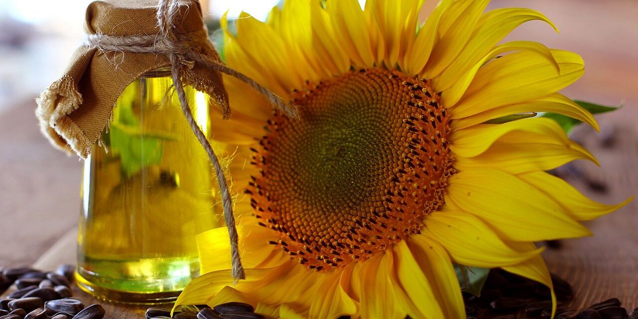Közgazdászok szerint jelentősen megdrágul az étolaj