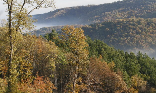Meghalt egy hegymászó a Tarcal-hegyen