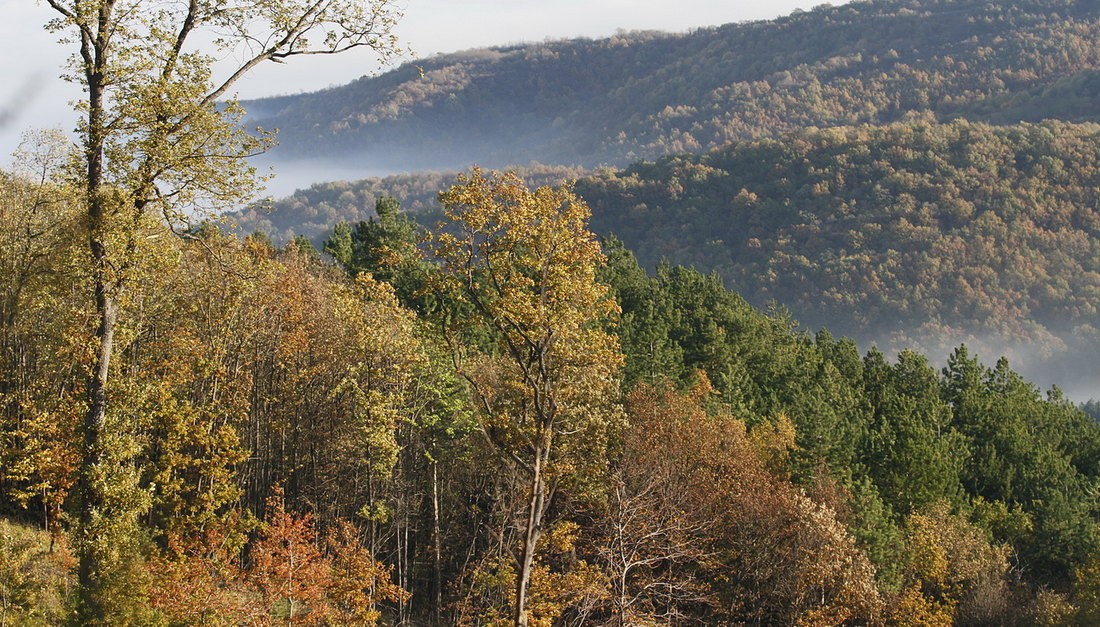Meghalt egy hegymászó a Tarcal-hegyen