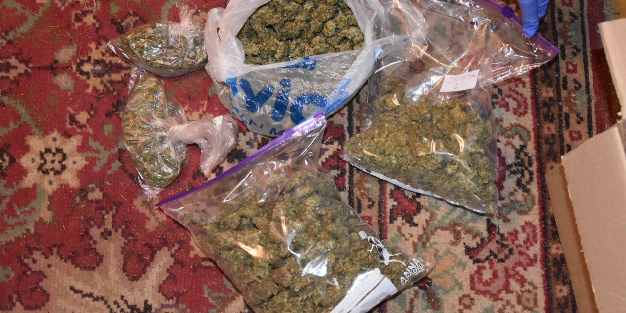 Több mint harminc kiló kábítószert foglaltak le a rendőrök Zomborban (Fotó)