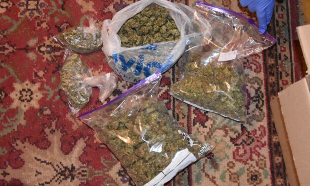 Több mint harminc kiló kábítószert foglaltak le a rendőrök Zomborban (Fotó)