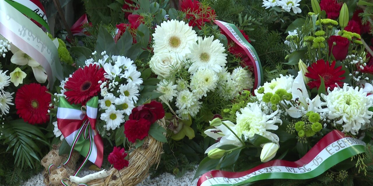 <span class="entry-title-primary">„Nem csak dicsőséges harcot vívtak, hanem örökérvényűt is”</span> <span class="entry-subtitle">A VMSZ 1956-os központi megemlékezése</span>