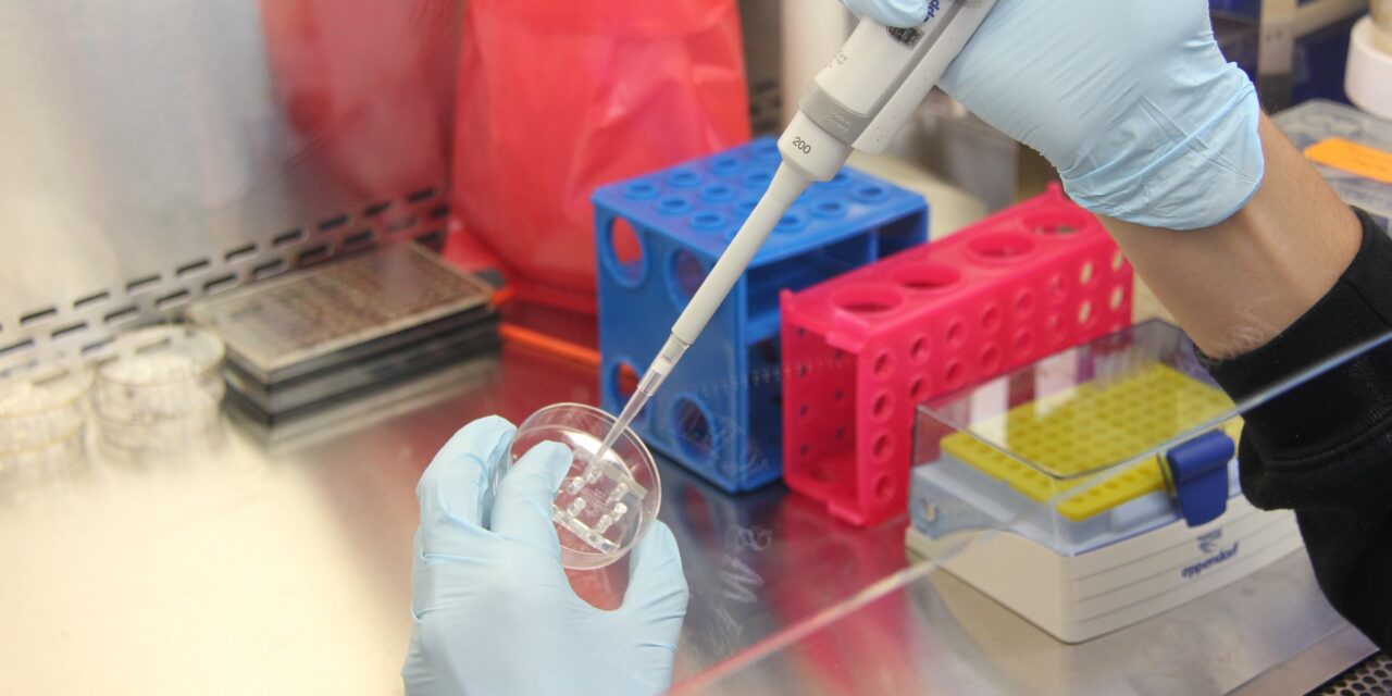 A koronavírus-járvány miatt kihalhatott az influenzavírus egyik törzse