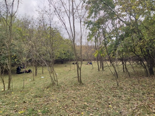 Három helyen is lövöldöztek Szabadkán az éjjel, összetűzés volt a befogadóközpontnál is