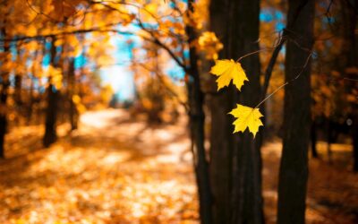 Lesz még meleg indián nyár