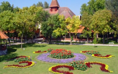 A Palicsi Természeti Park kezelési és felügyeleti terv nélkül maradt Az Állami Számvevőszék jelentése számos hiányosságra hívja fel a figyelmet a Palics-Ludas működésével kapcsolatban