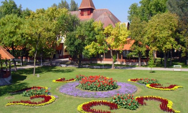 Vágják a fákat a Palicsi Parkban