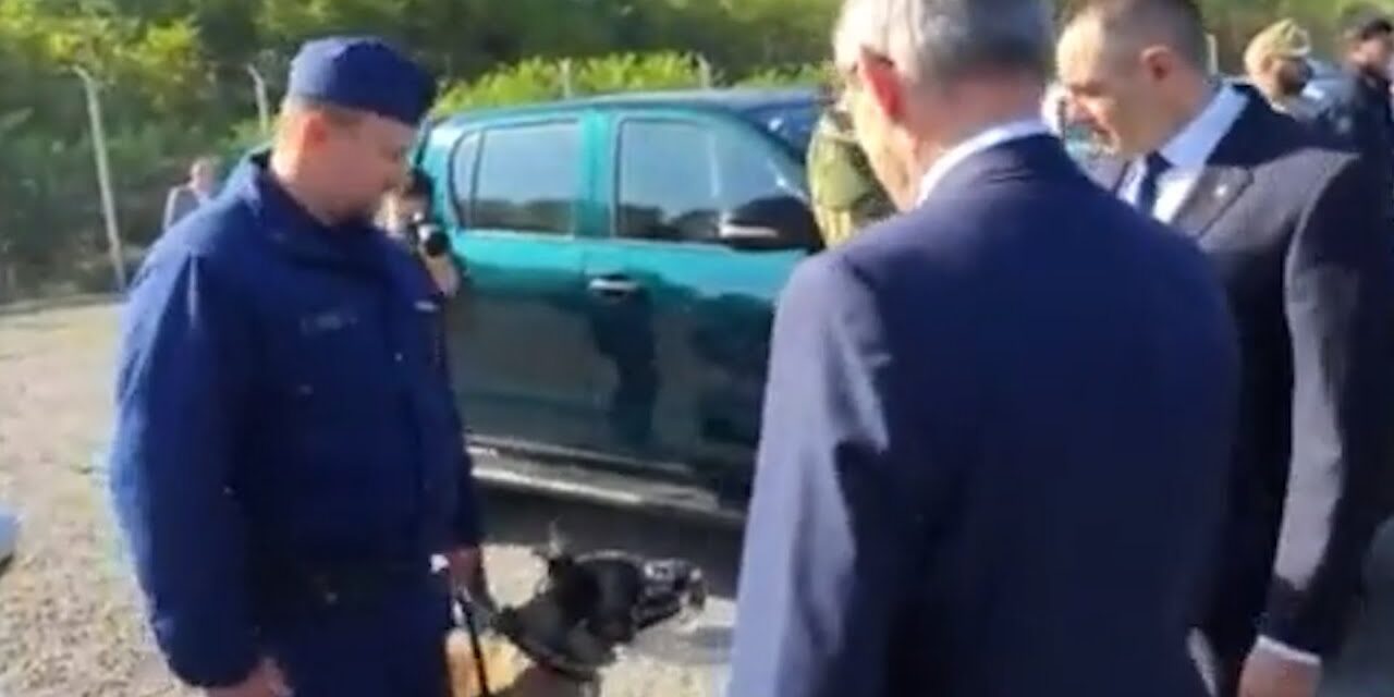 Vulin esete a rendőrkutyával (Videó)