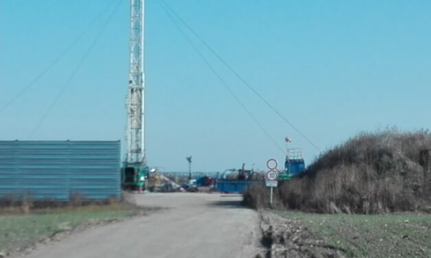 Mit tervez a Szerbiai Kőolajipari Vállalat Palicson és környékén?