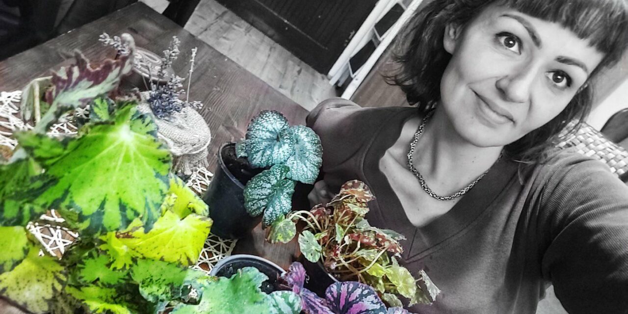 <span class="entry-title-primary">Zöld oázis Dreán</span> <span class="entry-subtitle">Daliborka Popov növényhotelt nyitott – A téli gondozásra rábízott cserepesek kivirulva kerülnek tavasszal haza</span>