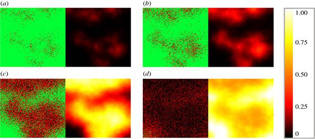 Egyelőre nem mutálódik tovább a koronavírus
