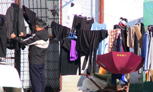 Kisić Tepavčević: Nem bántalmazták a munkásokat a Linglongban