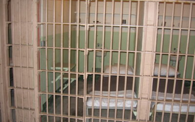 Gyerekeikkel és kutyájukkal is szexuális cselekményt végzett egy Szerbiából Magyarországra települt házaspár