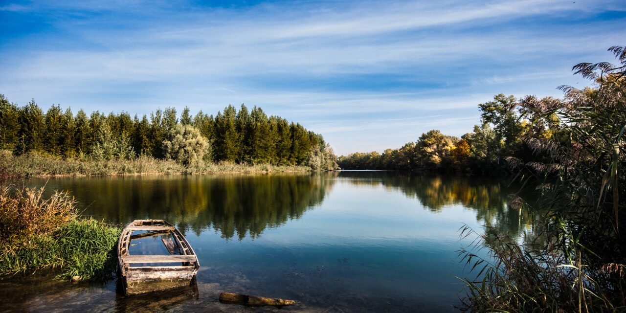 Igor Kolaković lett a Vajdaság Vizei megbízott igazgatója