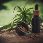Észak-Macedónia: közel nyolc tonna kannabisz tűnt el egy marihuánatermesztő cégtől