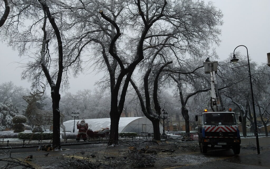A jég áldozatai Szabadkán