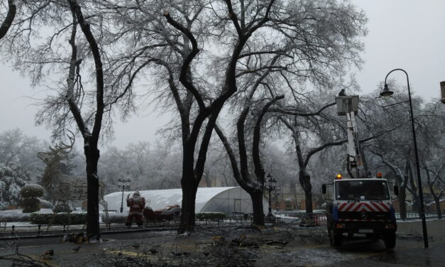 A jég áldozatai Szabadkán