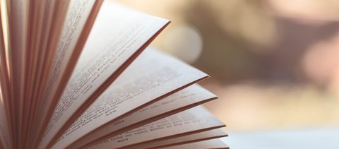 Mi minden lehet (a) brutál(is)?