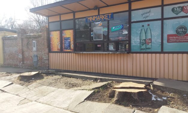 Ne vágj ki minden fát!