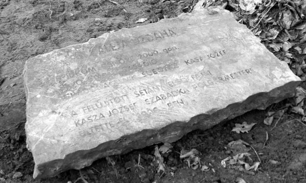 <span class="entry-title-primary">Könnyen jött, könnyen megy a polgármesteri dicsőség</span> <span class="entry-subtitle">A Kasza-dicsőség ennyi volt</span>