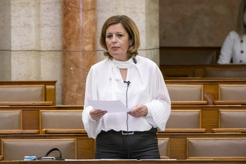 Nem mondott igazat a diplomájáról, kirúgta a párt