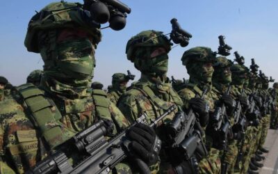 „A hatalom csak játszik a polgárokkal,  a hadsereg nem léphet be Koszovóba a NATO jóváhagyása nélkül”