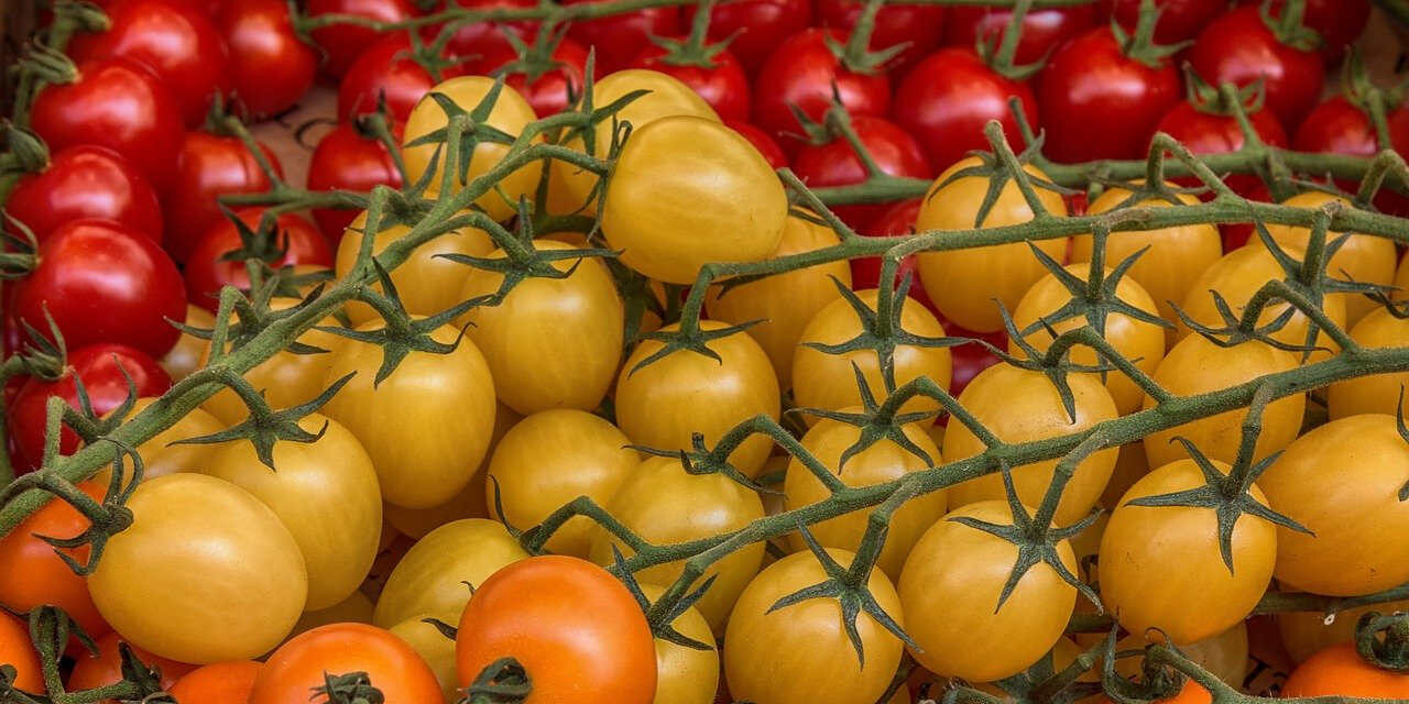 <span class="entry-title-primary">Kis magyar (anti-)globalizmus</span> <span class="entry-subtitle">Posztmodern népballada</span>