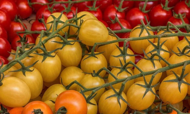 <span class="entry-title-primary">Kis magyar (anti-)globalizmus</span> <span class="entry-subtitle">Posztmodern népballada</span>