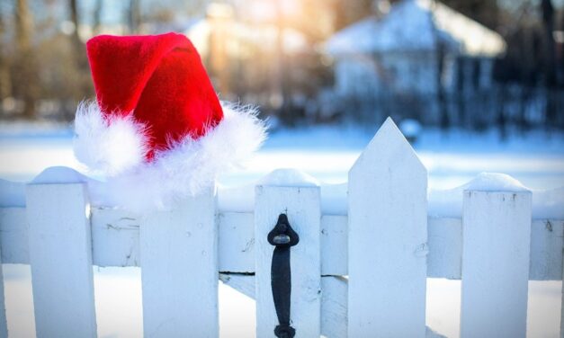 <span class="entry-title-primary">A Télapó halott</span> <span class="entry-subtitle">Szerbiai sajtószemle (2021. december 31.-2022. január 6.)</span>